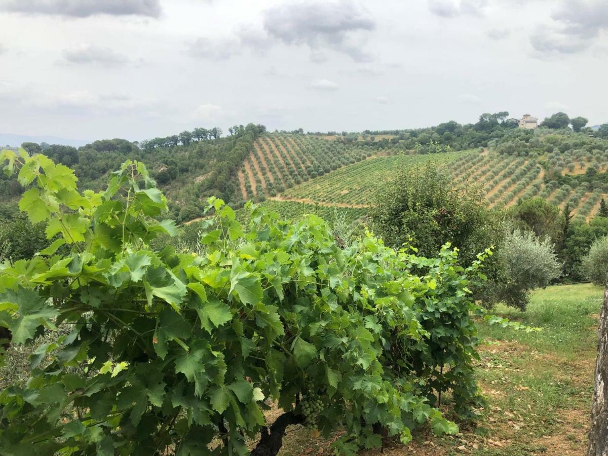 La Valle Di Anna ลาสตรา อา ซินญา ภายนอก รูปภาพ